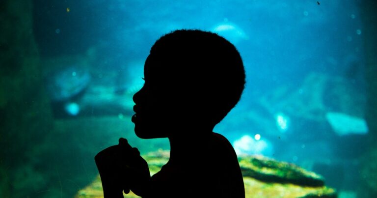 Silhouette of a child watching fish in a glowing blue aquarium tank