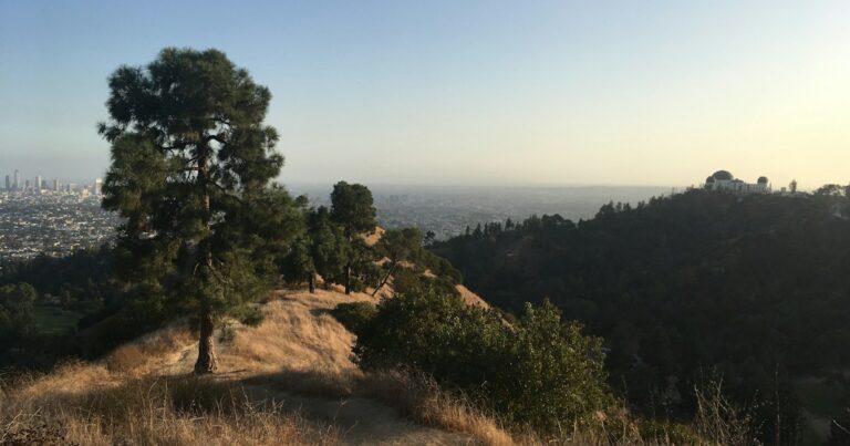 Hiking trail in Griffith Park with the Griffith Observatory and downtown Los Angeles in the distance